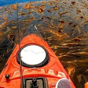 kayaking in baja