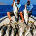 sportfishing baja california