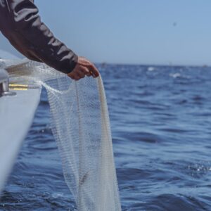 Baja flyfishing trips