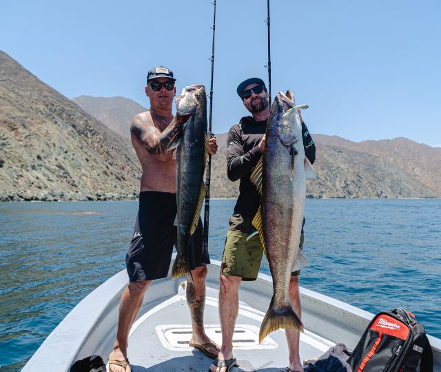 cedros island fishing packages