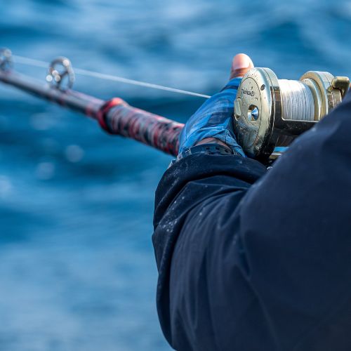 cedros sportfishing journey