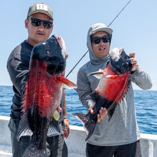 fishing at cedros beach