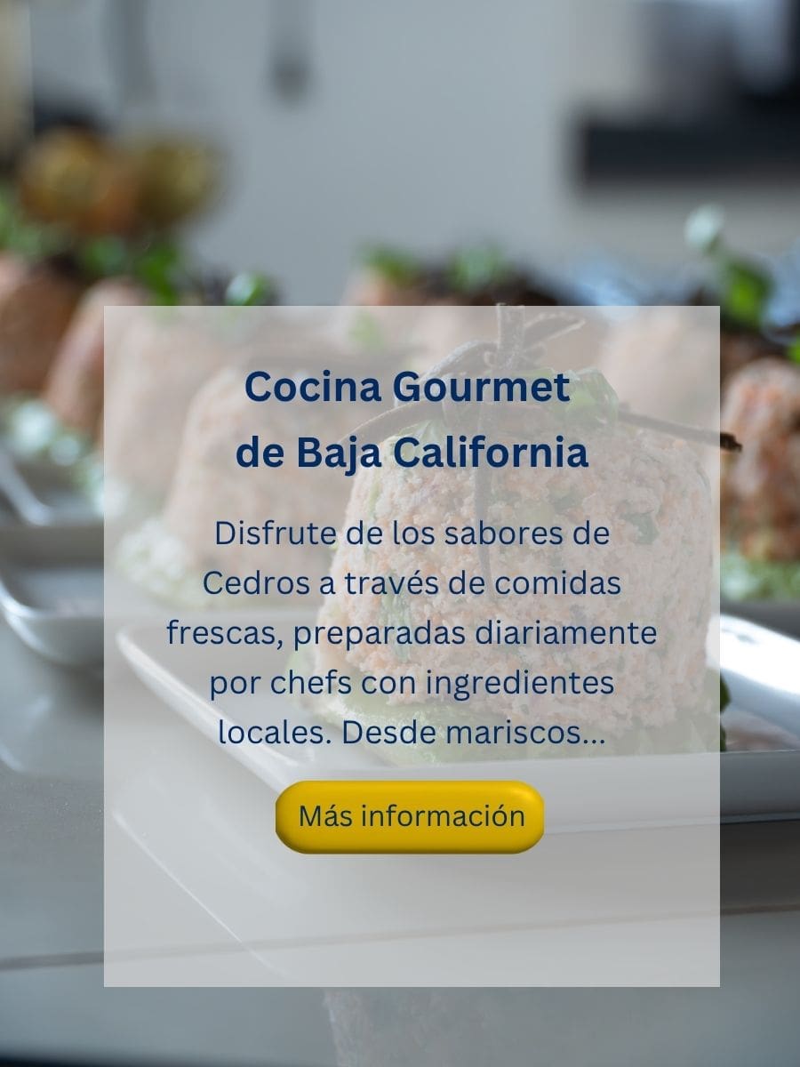 new gourmet baja cuisine