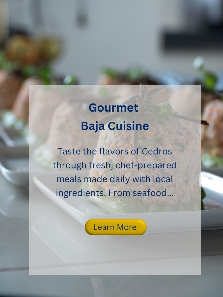 new gourmet baja cuisine