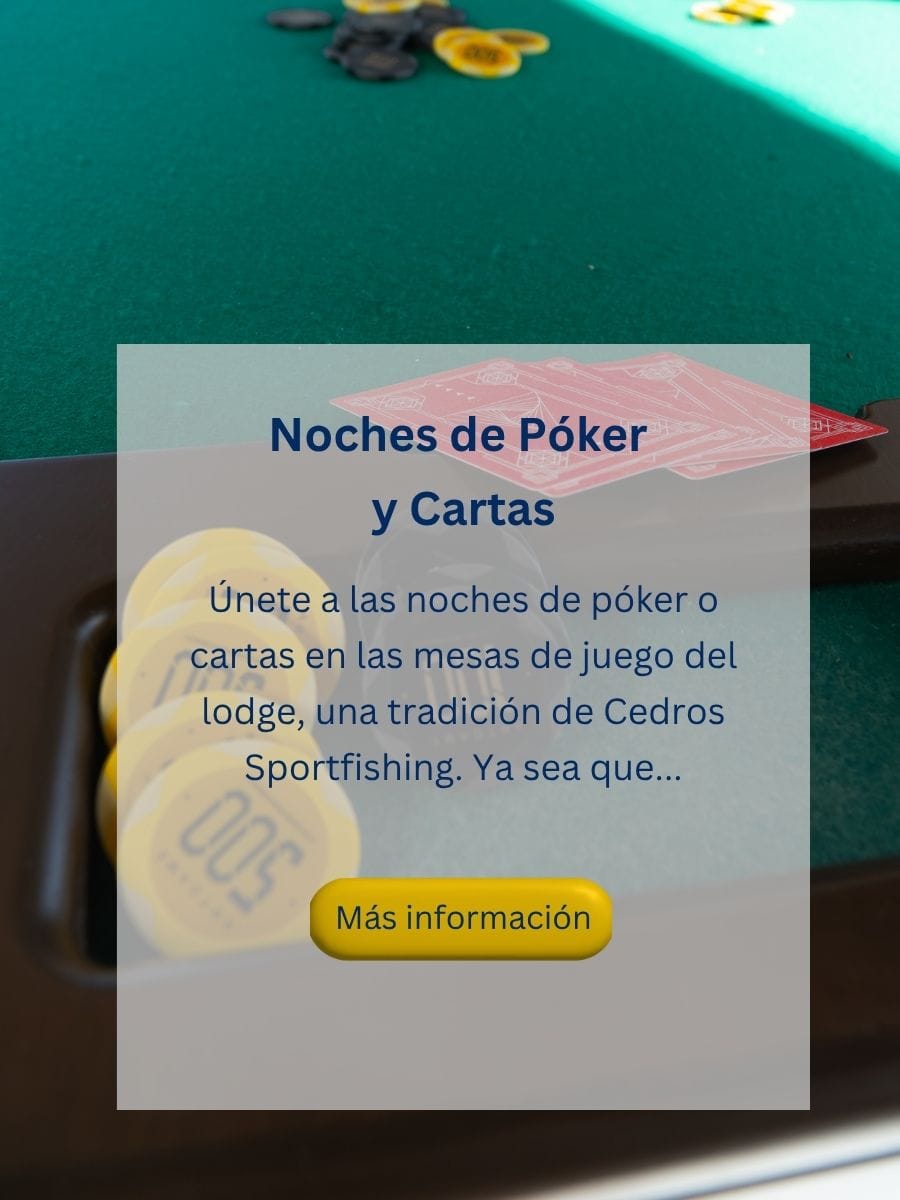 new poker and card nights