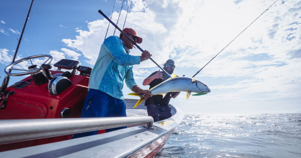 What to Expect on a Cedros Island Sportfishing Trip First-Time Guest Guide
